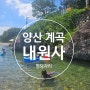 부산 울산 근교 경남 양산 내원사계곡 나만 알고 싶은 핫플 명소