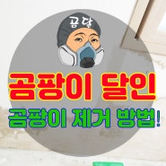 곰팡이 제거 방법 전문가의 조언 공개