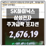 SK하이닉스 10% 급락 삼성전자 4% 주가급락 미자의 포지션은 ?