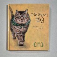 『도둑 고양이 캡틴』