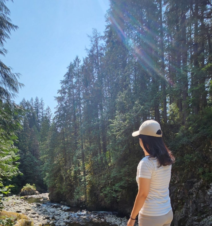 [밴쿠버 근교여행] 룸메와 밴쿠버 낮은 산 카필라노 공원(Capilano River....