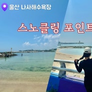 부산 근교 스노클링 울산 나사해수욕장 스노클링 포인트ㅣ주차 샤워 물고기포인트