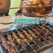 수원 장안문 시우양꼬치 : 행궁동 양꼬치 인생맛집 향라닭날개 마파두부덮밥