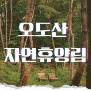 대구 근교 캠핑장 추천 경남 합천 오도산 자연휴양림 계곡