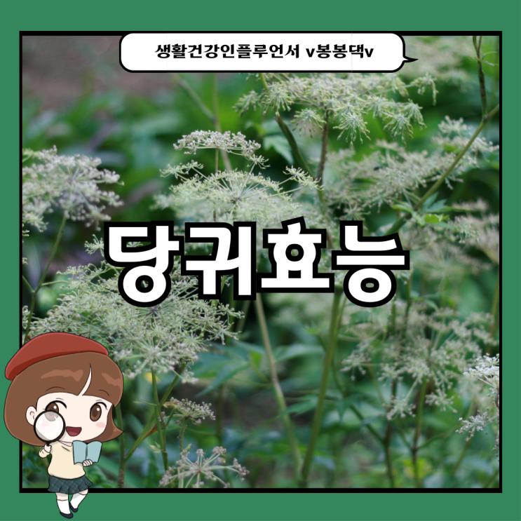 당귀효능 및 섭취방법 : 당귀의효능 비밀을 간직한 당귀뿌리 : 네이버 블로그