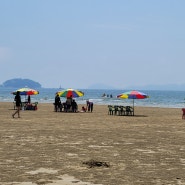 충남 태안 가볼만한곳, 청포대해수욕장에서 보내는 여름휴가