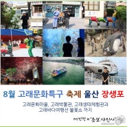 8월 울산 고래문화특구 축제 장생포 고래문화마을, 고래박물관, 고래생태체험관과 고래바다여행선 불꽃쇼 까지