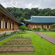 청와대 관람 모든학교 방학특강 유익한 초등체험학습