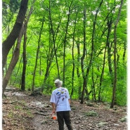 [휴가 끝무렵] 보령에서의 힐링 피서 ‘성주산자연휴양림’ 또 가고싶어!