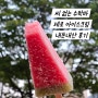 롯데 '씨없는수박바 제로' 아이스크림 내돈내산 후기, 기존 수박바와 맛 차이