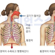 힐링샘 폐활량 겨루기 게임