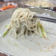 [망원시장 맛집] 홍두깨 손칼국수: 가성비 좋은 망원맛집 (여름메뉴 콩국수 후기)