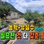 🤞필요한 것 모두 다 갖춘 군위 땅. 농막 1채+유실수+화장실+전기+수도🤞[매물 950]