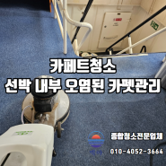 부산카펫청소 선박 내부 카페트바닥 세척 업체