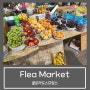 콜로라도스프링스 플리마켓 :: flea market 구경