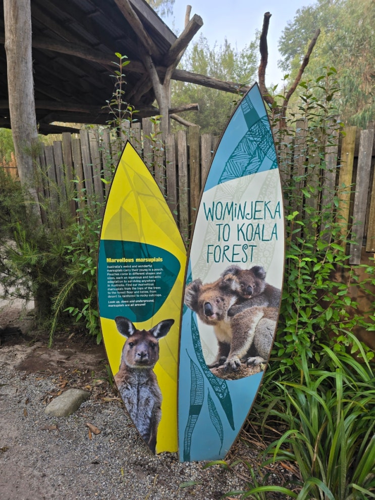 [Australia/Melbourne] 멜버른 힐스빌생츄어리 Healesville Sanctuary (Zoos Victoria....