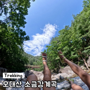 오대산 소금강 계곡 트래킹 여름산행 등산코스