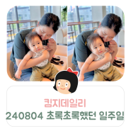 킴지 Daily* 240729~240804 초록초록했던 일주일 조각모음 ෆ