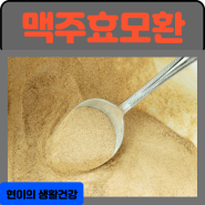 맥주효모환 효능 부작용 먹는법