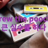 screw the pooch 큰 실수를 하다 영어 슬랭 회화