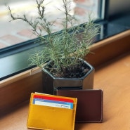 AWiKii • 어위키 친환경 브랜드 옥수수 가죽으로 만든 비건레더 카드지갑 후기⁺⊹˚🌽.⋆