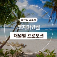 8월 코지마 X 채널별 프로모션