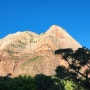 [Utah여행] Zion national park 에서 거대한 벽을 만나다