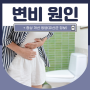 변비 원인 및 증상 개선 방법(+유산균)