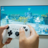 8bitdo 얼티메이트 ns 닌텐도 및 PC연결 팔얼블