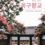 [후지필름 X-T5 & 시그마 18-50] 8월 배롱나무 명소.옥구향교.군산.개화 현황(24.08.04) .. photo by 한걸음씩