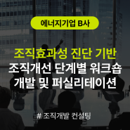 [조직개발 컨설팅] 에너지기업 B사 조직효과성 진단 기반 조직문화 개선 단계별 워크숍(리더그룹-전체구성원)