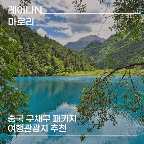 중국 구채구 패키지로 다녀온 후기 추천 여행관광지(팬더파크, 모니구폭포, 구채구, 황용, 낙산대불) : 네이버 블로그