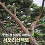 인천 섬 덕적도 서포리웰빙산림욕산책로 서포리 해수욕장 인근 걷기 좋은 곳