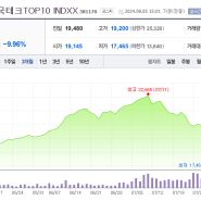 예상은 했지만 예상보다 더 떨어져서 아픈 주식 -TIGER 미국테크 TOP 10 INDXX-