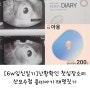 [6w임신일기]삼성미래산부인과 난황확인 첫심장소리 산모수첩 용띠아기태명짓기