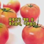 알레르기 좋은 음식 및 알레르기 나쁜 음식