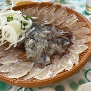 [속초 맛집] 속초 동명항 오징어난전 신양호 2호 오징어회 맛집