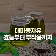 대마종자유 효능 정리 및 부작용