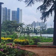 속초여행 영랑호 황토길 황톳길 맨발걷기 체험