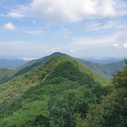 대전 우산봉~신선봉~갑하산(대전둘레산길8구간~!!)