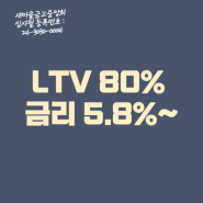 개인사업자 주택추가담보대출 LTV 80% 비율 DSR규제없는 조건