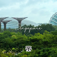 비 오는 날 가든스 바이 더 베이 플라워돔, 클라우드 포레스트 온실관람하기 + 수퍼트리 OCBC 스카이웨이/ 싱가포르 여행 3박 6일 6️⃣