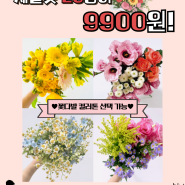 제철꽃 믹스 20송이가 단돈 9900원!(ft. 낭만 가득 꽃말♥)