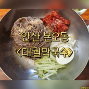 안산 본오동 막국수 맛집 보쌈 수육 - 대궐막국수