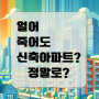 얼죽신, 신축 아파트 선호 현상은 일시적일까? 새로운 트렌드일까