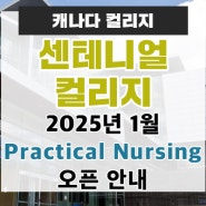 캐나다 유학ㅣ센테니얼 컬리지 2025년 1월 Practical Nursing 오픈 안내