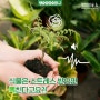 💚[알쓸숲잡] 🌵식물은 스트레스 받으면 뽁친다?!😡