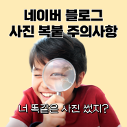 블로그 사진저작권 유사이미지 상단노출 안된다고?