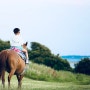 [5월 말~6월 초 제주도 여행#17] 아이랑 제주도 여행 성산일출봉 말 체험 및 성산일출봉 무료 구경하기(제주도 성산일출봉 말 체험, 입장료 가격 공유)