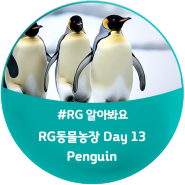 [모여라! RG 동물농장] Day 13. Penguin(펭귄) : James, the Flying Penguin / 'Penguin'이 들어간 영어표현